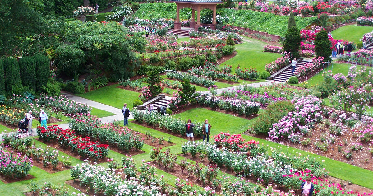 International Rose Test Garden